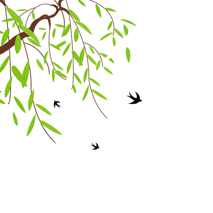 春天绿色春季水墨柳树柳条柳叶春季海报设计PNG免扣素材