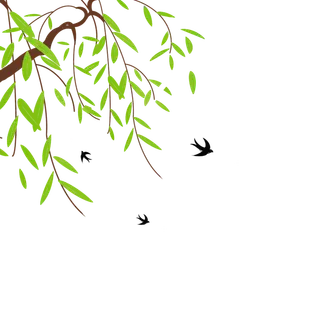 春天绿色春季水墨柳树柳条柳叶春季海报设计PNG免扣素材