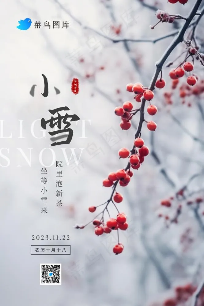 小雪传统冬天冰冷果实节气海报(2362x3543)psd模版下载