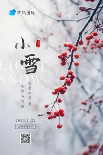 小雪传统冬天冰冷果实节气海报