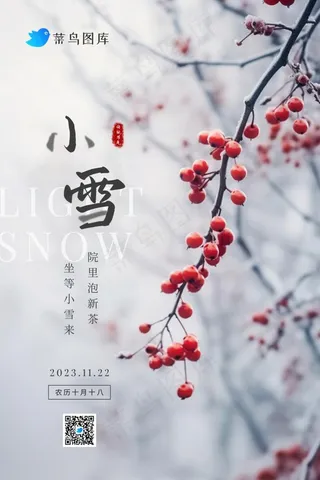小雪传统冬天冰冷果实节气海报