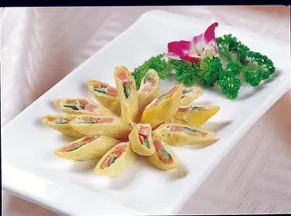 0911LCH-545沙拉鸭卷