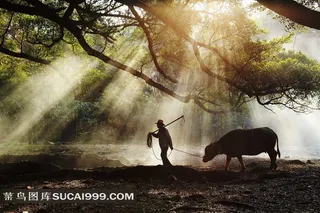 福建淳朴的杨家溪人文风景图片