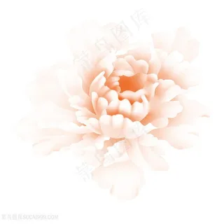 唯美粉色花朵图片