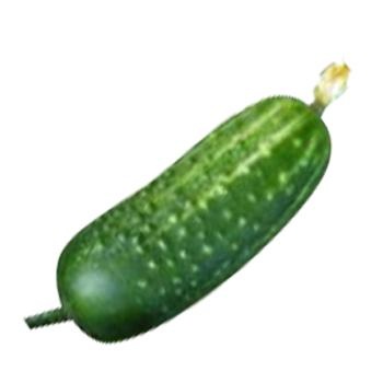 黄瓜与花 PNG免抠(350x350)