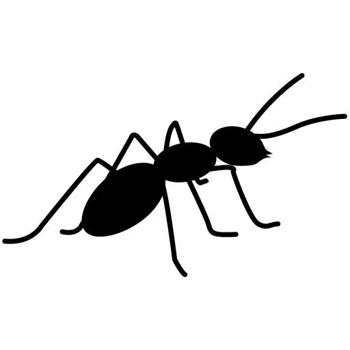 蚂蚁 PNG免抠(2000x2000)