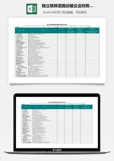独立核算道路运输企业财务状况excel模板