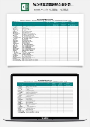 独立核算道路运输企业财务状况excel模板