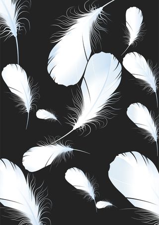 羽毛毛茸茸高清