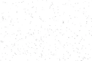 飘落的雪花 PNG免抠