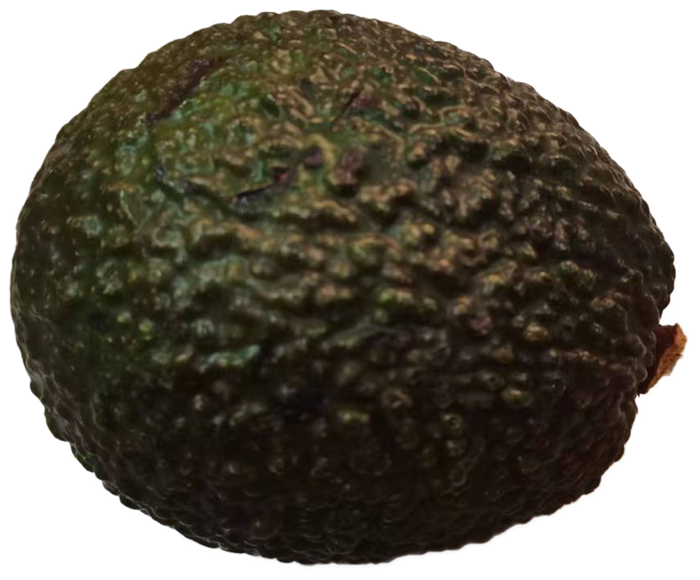 圆润带果蒂果牛油果鲜果鳄梨免抠实物实拍摄影元素素材