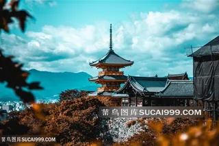 日本清水寺风光图片