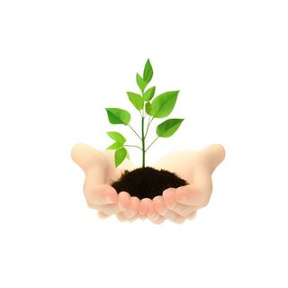 手捧树苗免抠