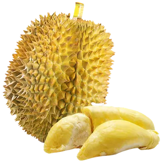 金枕榴莲 (2)水果超市商品白底图免抠实物摄影png格式图片透明底