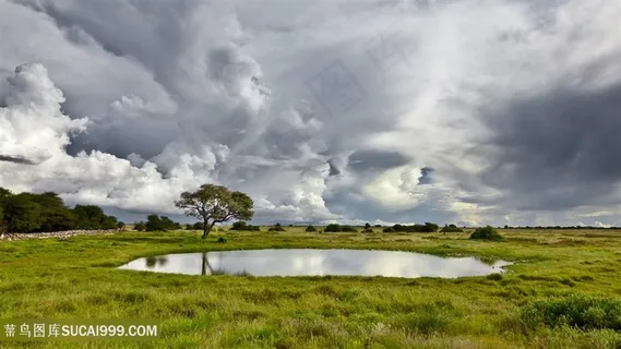 蓝天白云草地风景画壁纸 蓝天白云草地风景画壁纸