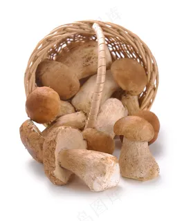 篮子里的蘑菇图片 篮子里的蘑菇图片