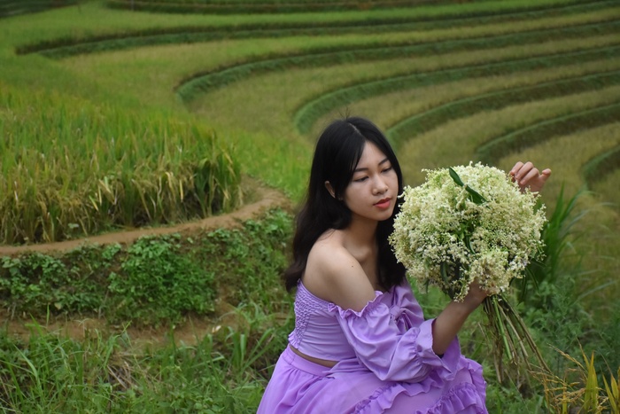 梯田写真图片