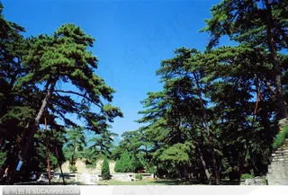 明十三陵-长陵凌恩殿遗址