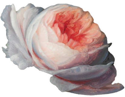 复古油画质感宫廷花卉植物花朵鲜花拼贴图案PNG免抠图片设计素材