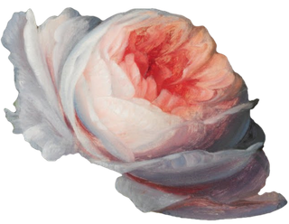 复古油画质感宫廷花卉植物花朵鲜花拼贴图案PNG免抠图片设计素材