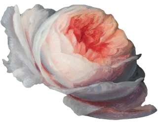 复古油画质感宫廷花卉植物花朵鲜花拼贴图案PNG免抠图片设计素材