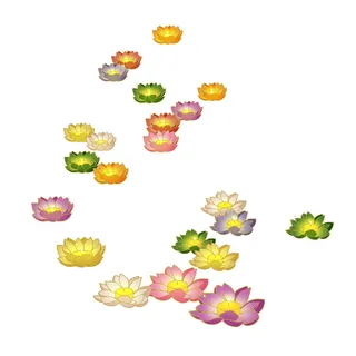 荷花 飘在河里 素材