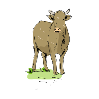 手绘的牛矢量素材_元素