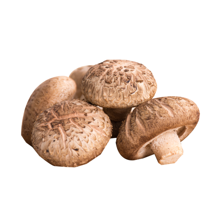 新鲜的香菇素材免扣