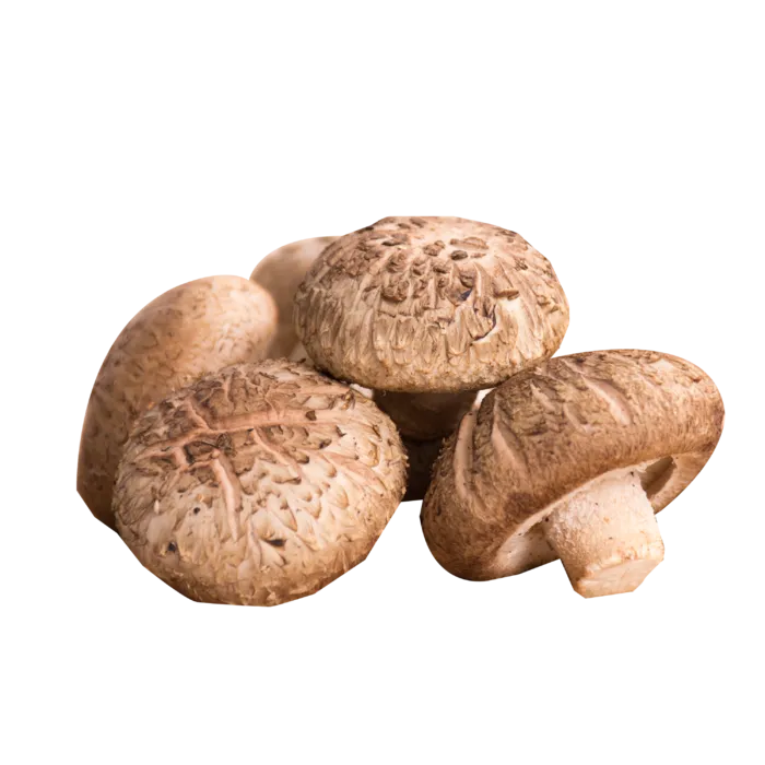 新鲜的香菇素材免扣