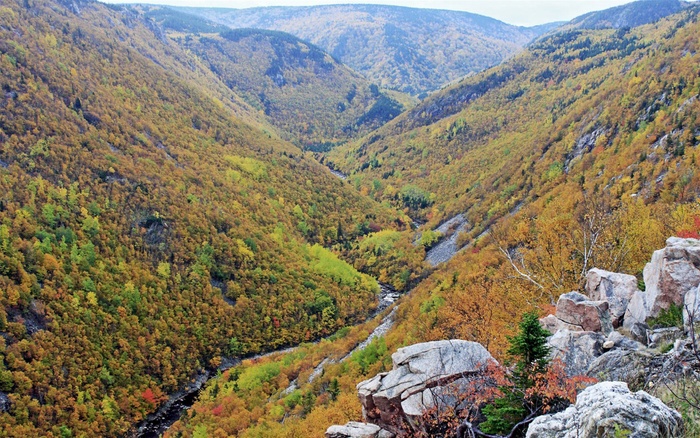 山中风光色