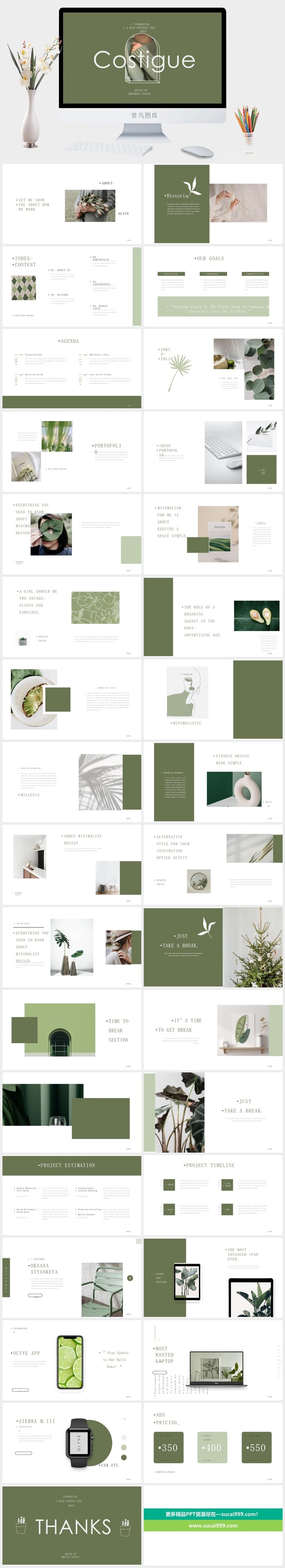 莫兰迪色系极简PPT模板