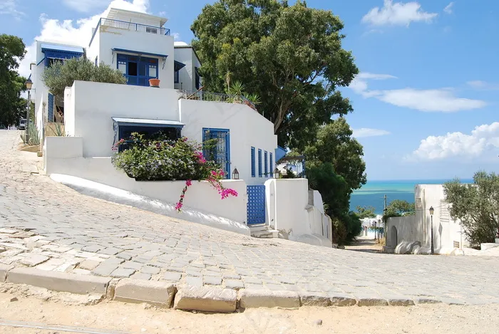 非洲突尼斯图片