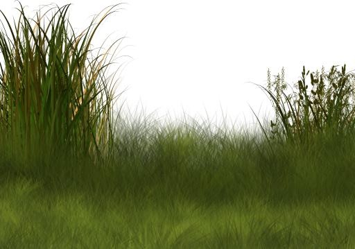 草 PNG 绿色免抠(1700x1194)