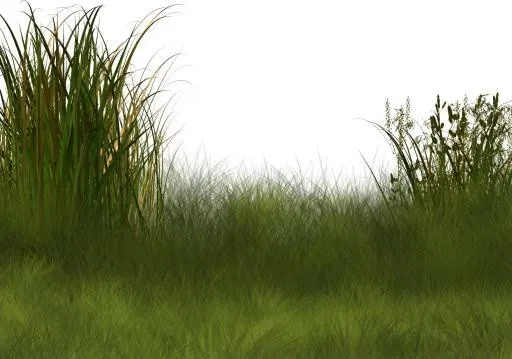 草 PNG 绿色免抠(1700x1194)