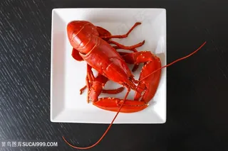 俯视图大龙虾摄影图片