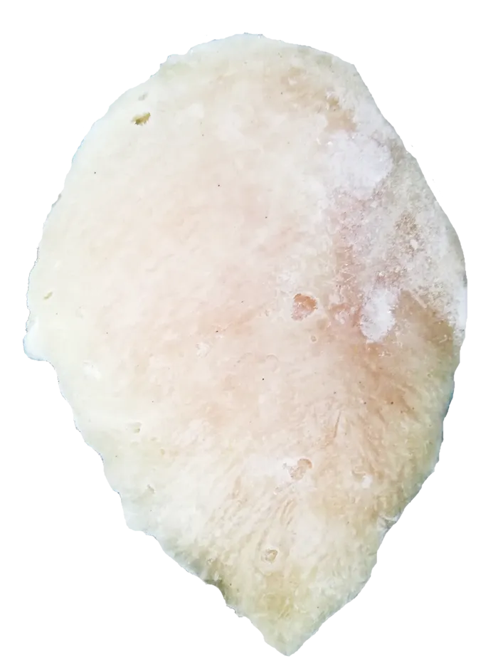 冰冻鸡胸水煎鸡排鲜嫩鸡胸肉鸡腿肉免抠实物实拍摄影元素素材psd模版下载