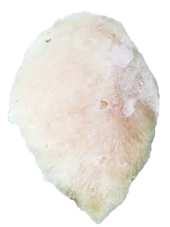 冰冻鸡胸水煎鸡排鲜嫩鸡胸肉鸡腿肉免抠实物实拍摄影元素素材