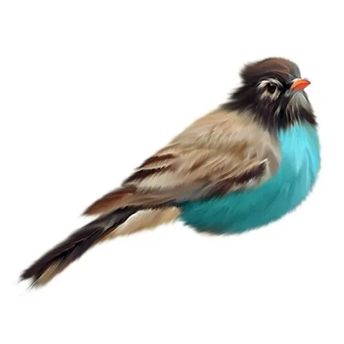 鸟 PNG免抠(500x500)