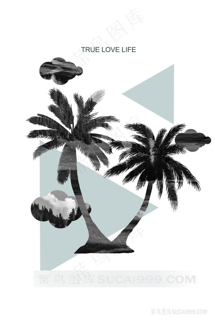 椰树唯美简约插画