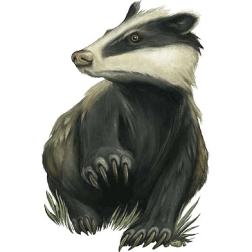 獾 PNG(400x400)