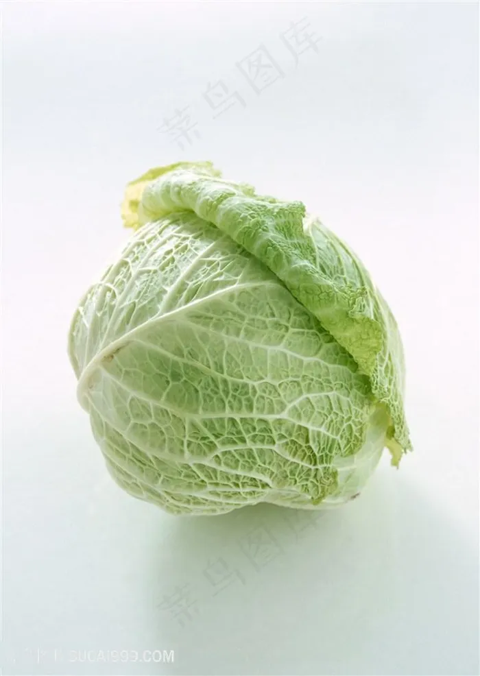 新鲜包菜蔬菜高清素材