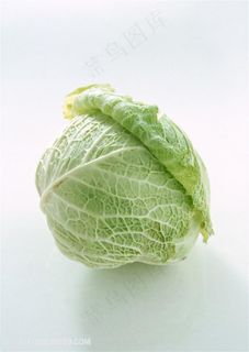 新鲜包菜蔬菜高清素材 新鲜包菜蔬菜高清素材
