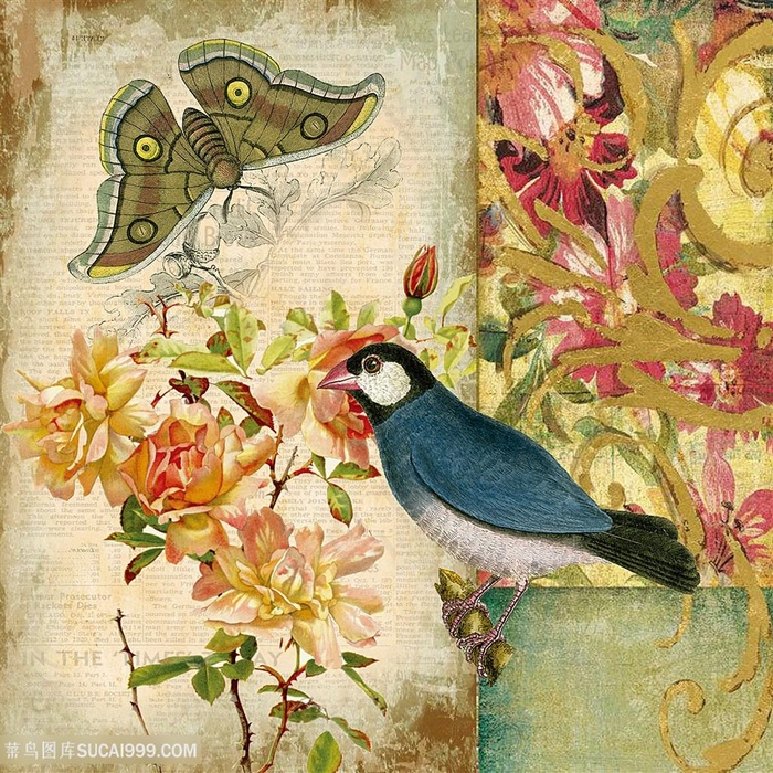 欧式花鸟装饰画