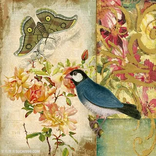 欧式花鸟装饰画