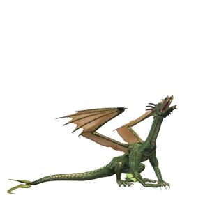 龙 飞龙火龙飞天龙喷火龙