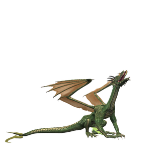 龙 飞龙火龙飞天龙喷火龙