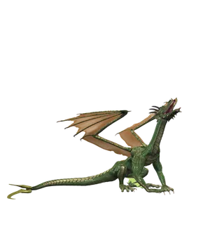 龙 飞龙火龙飞天龙喷火龙