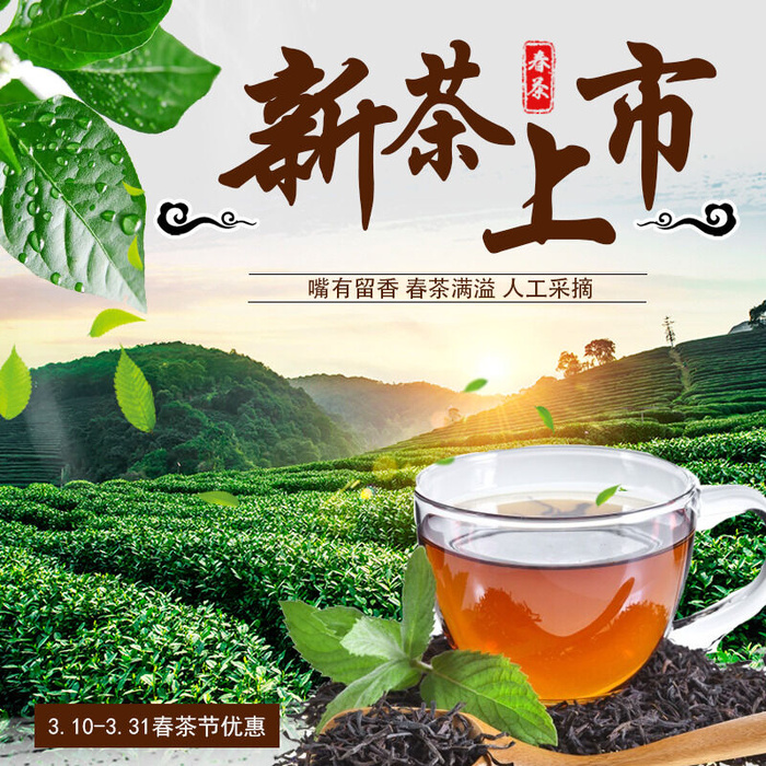 春茶节新茶上市茶叶电商主图banner海报pc端移动端首页模板psd模版下载