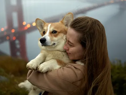 美女抱柯基犬图片 美女抱柯基犬图片