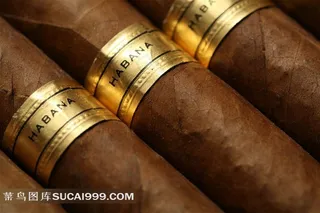 雪茄素材高清图片下载